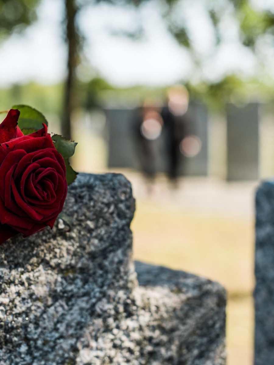 shadows on red aromatic rose on concrete tomb